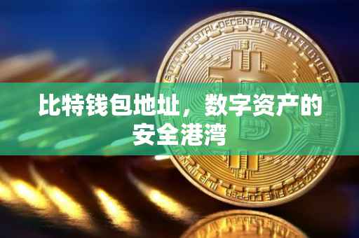 比特钱包地址，数字资产的安全港湾