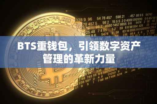 BTS重钱包，引领数字资产管理的革新力量