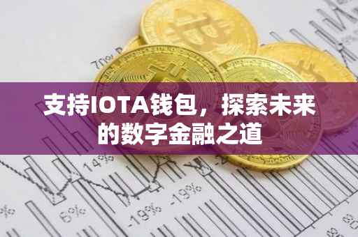 支持IOTA钱包，探索未来的数字金融之道