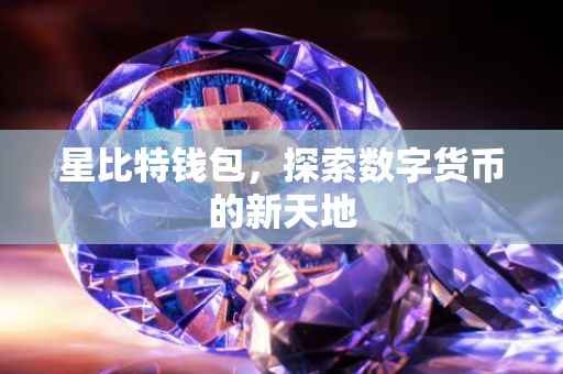星比特钱包，探索数字货币的新天地