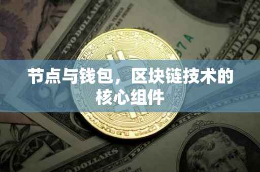 节点与钱包，区块链技术的核心组件