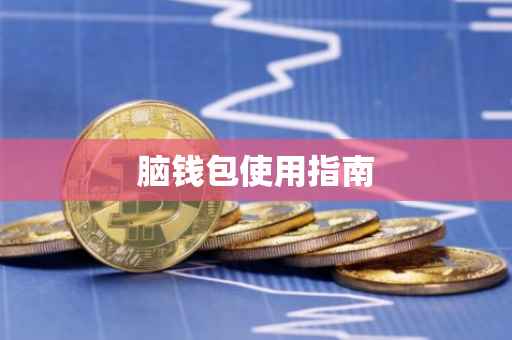 脑钱包使用指南