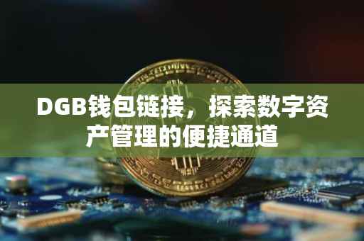 DGB钱包链接，探索数字资产管理的便捷通道