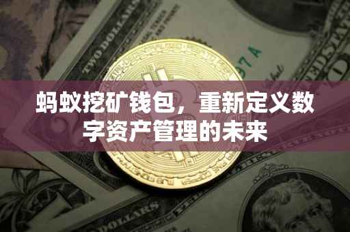 蚂蚁挖矿钱包，重新定义数字资产管理的未来