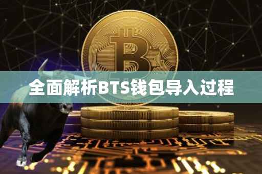 全面解析BTS钱包导入过程