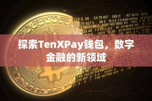 探索TenXPay钱包，数字金融的新领域