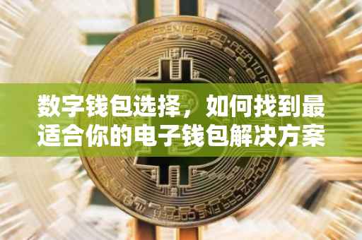 数字钱包选择，如何找到最适合你的电子钱包解决方案