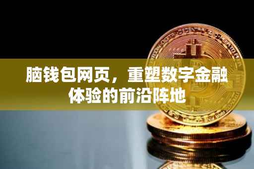 脑钱包网页，重塑数字金融体验的前沿阵地