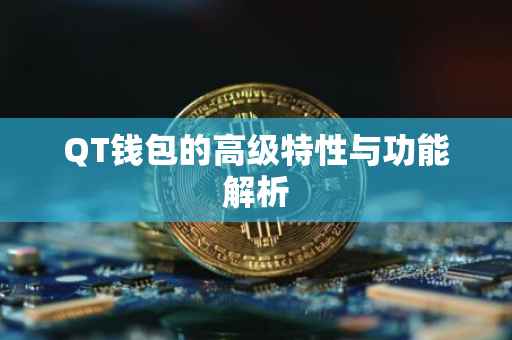 QT钱包的高级特性与功能解析