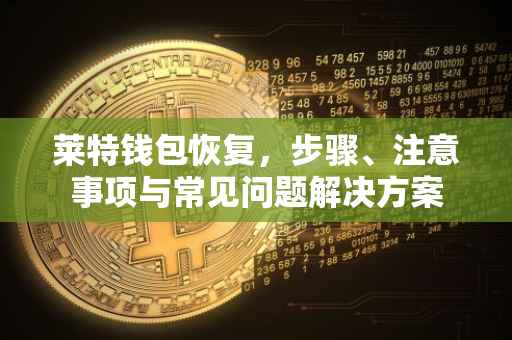 莱特钱包恢复，步骤、注意事项与常见问题解决方案