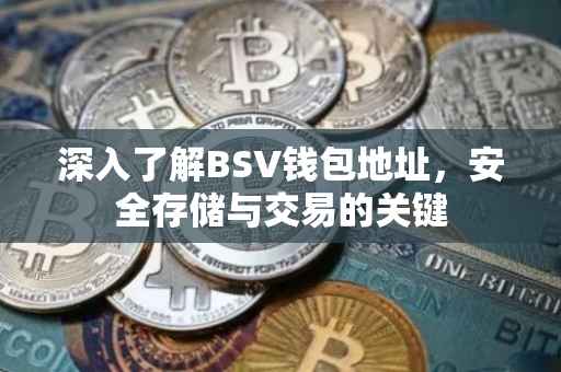 深入了解BSV钱包地址，安全存储与交易的关键