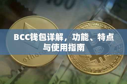 BCC钱包详解，功能、特点与使用指南