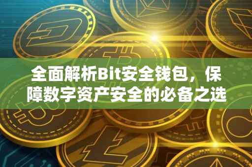 全面解析Bit安全钱包，保障数字资产安全的必备之选