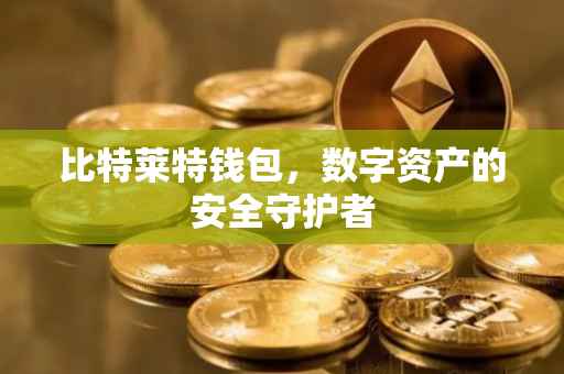 比特莱特钱包，数字资产的安全守护者