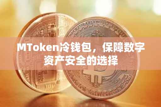 MToken冷钱包，保障数字资产安全的选择