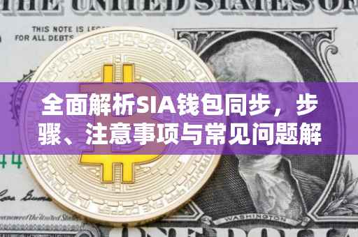 全面解析SIA钱包同步，步骤、注意事项与常见问题解决方案
