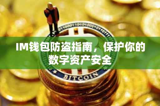 IM钱包防盗指南，保护你的数字资产安全