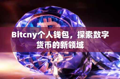 Bitcny个人钱包，探索数字货币的新领域