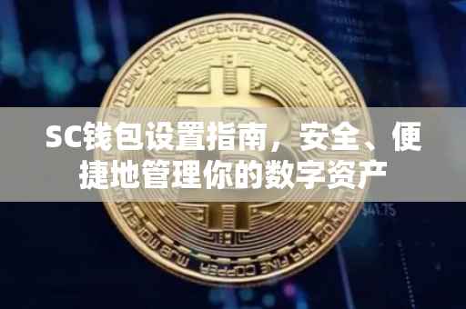 SC钱包设置指南，安全、便捷地管理你的数字资产