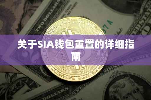 关于SIA钱包重置的详细指南