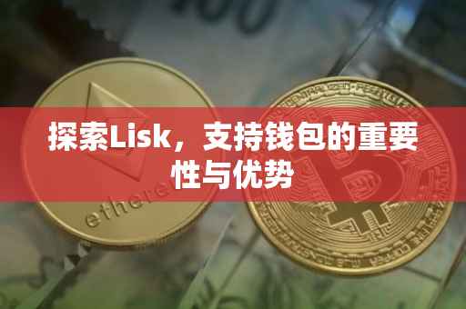 探索Lisk，支持钱包的重要性与优势