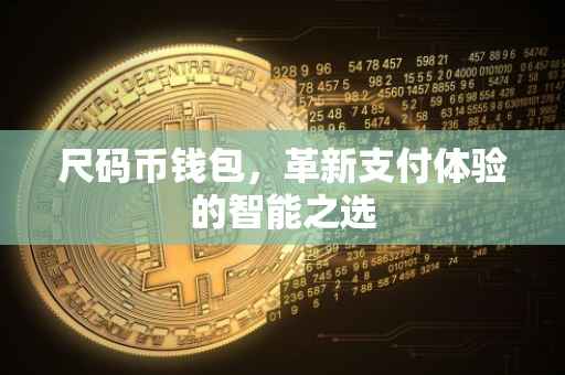 尺码币钱包，革新支付体验的智能之选