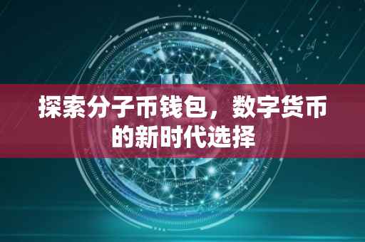 探索分子币钱包，数字货币的新时代选择