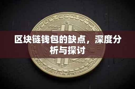 区块链钱包的缺点，深度分析与探讨