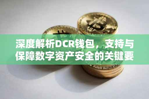 深度解析DCR钱包，支持与保障数字资产安全的关键要素