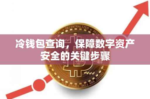 冷钱包查询，保障数字资产安全的关键步骤