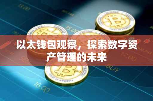 以太钱包观察，探索数字资产管理的未来
