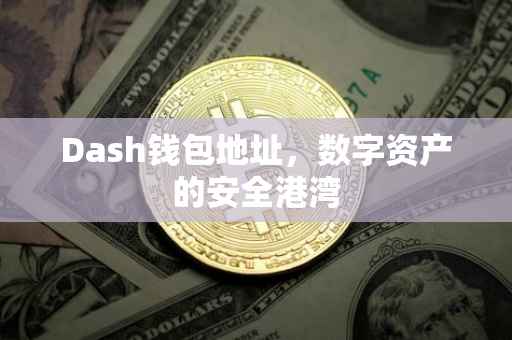 Dash钱包地址，数字资产的安全港湾