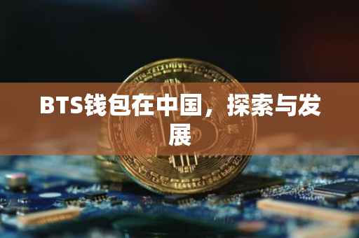 BTS钱包在中国，探索与发展