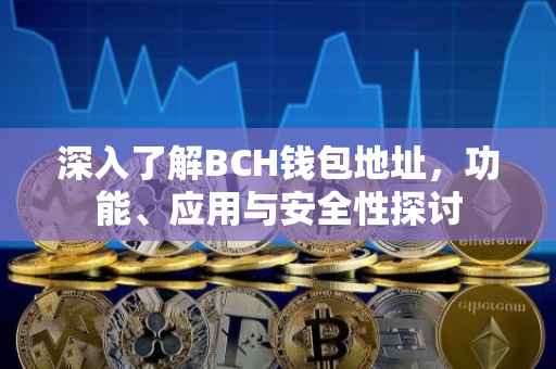 深入了解BCH钱包地址，功能、应用与安全性探讨