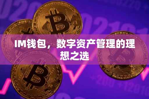 IM钱包，数字资产管理的理想之选