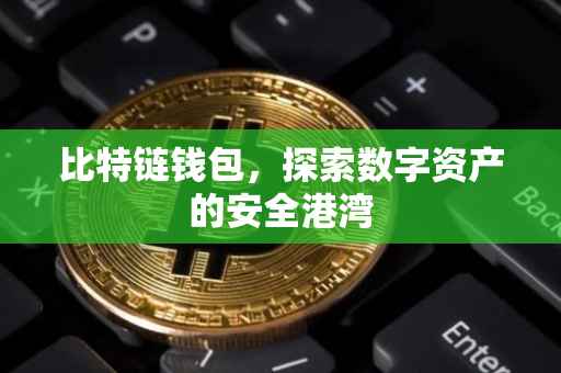 比特链钱包，探索数字资产的安全港湾