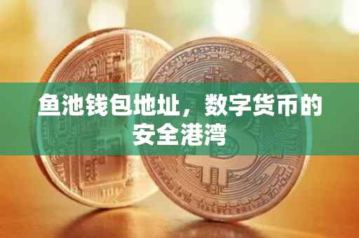 鱼池钱包地址，数字货币的安全港湾