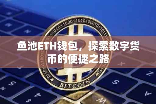 鱼池ETH钱包，探索数字货币的便捷之路