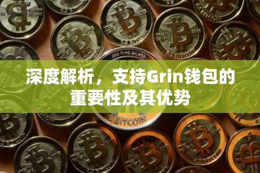 深度解析，支持Grin钱包的重要性及其优势