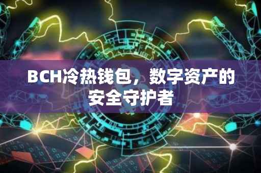 BCH冷热钱包，数字资产的安全守护者