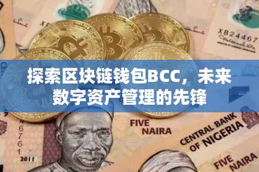 探索区块链钱包BCC，未来数字资产管理的先锋