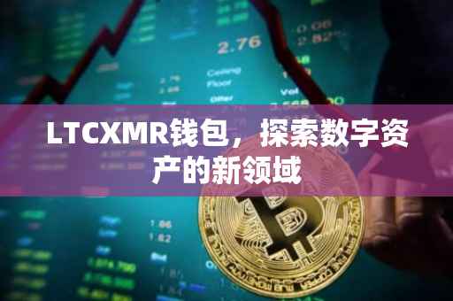 LTCXMR钱包，探索数字资产的新领域