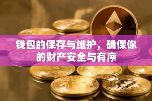 钱包的保存与维护，确保你的财产安全与有序