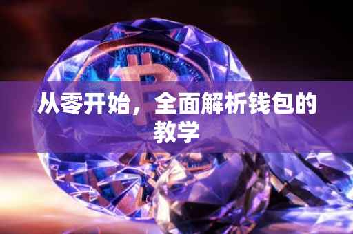 从零开始，全面解析钱包的教学