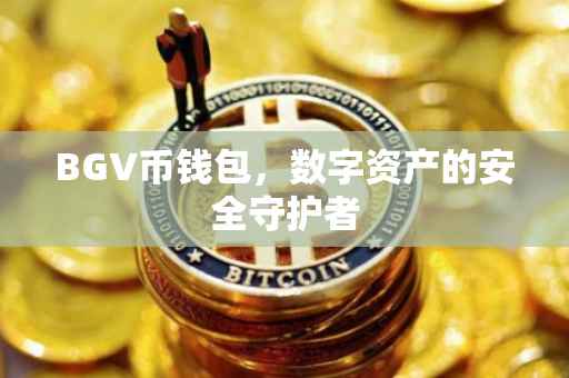 BGV币钱包，数字资产的安全守护者