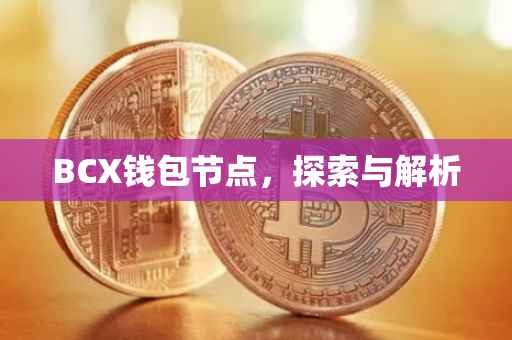 BCX钱包节点，探索与解析