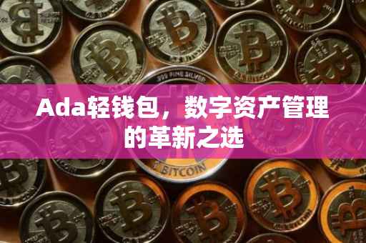 Ada轻钱包，数字资产管理的革新之选