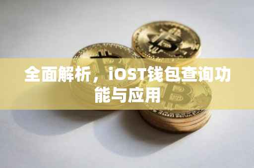 全面解析，iOST钱包查询功能与应用