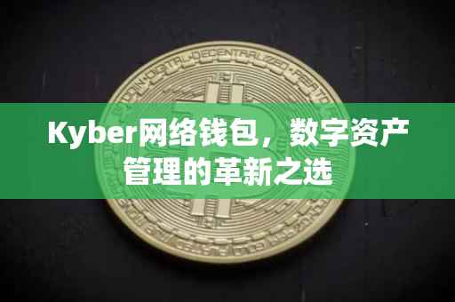 Kyber网络钱包，数字资产管理的革新之选