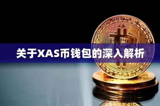 关于XAS币钱包的深入解析